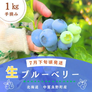 横山農園の生ブルーベリー1kg【CH-002】