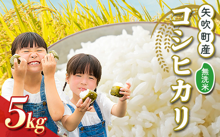 矢吹町産 コシヒカリ 令和7年産米 無洗米 5kg F6U-408