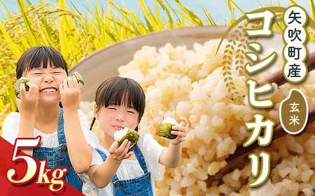 矢吹町産 コシヒカリ 令和7年産米 玄米5kg F6U-407