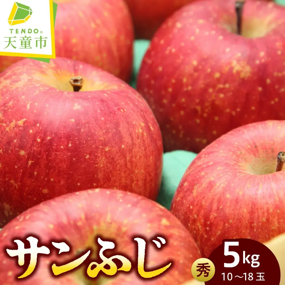 りんご ( サンふじ ) 約 5kg フルーツ 果物 山形 08-05-016