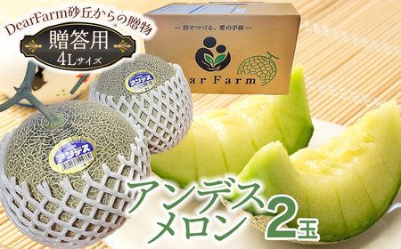 【令和8年産先行予約】　DearFarm砂丘からの贈物　＜贈答用アンデスメロン＞　2玉（4Lサイズ）　山形県鶴岡市　K-823