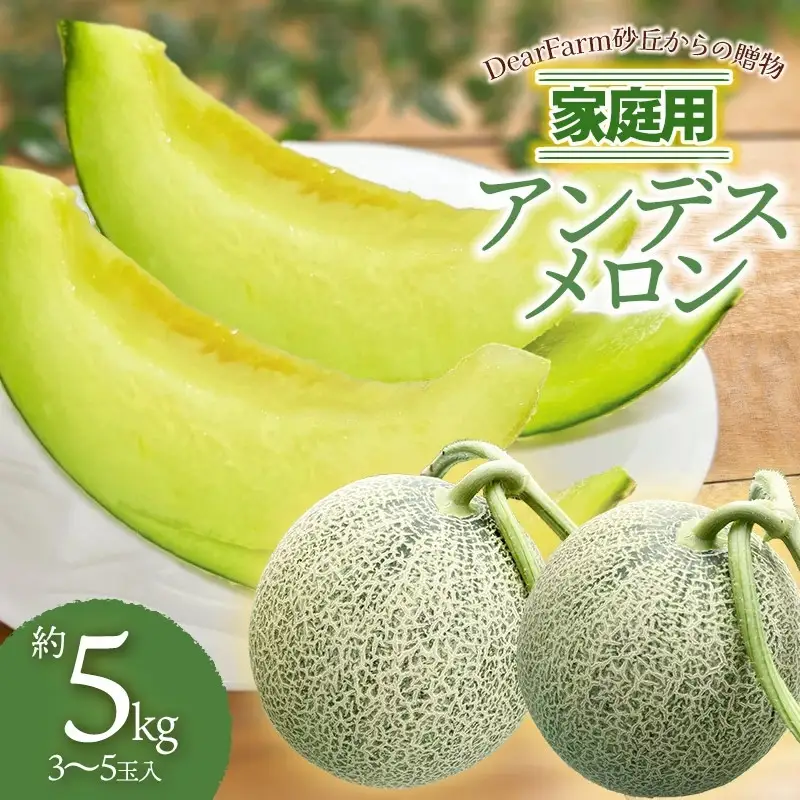 【令和8年産先行予約】　DearFarm砂丘からの贈物　＜家庭用アンデスメロン＞　約5kg（3～5玉）山形県鶴岡市　K-832　| メロン めろん アンデスメロン 5キロ 山形 鶴岡 庄内 庄内産 東北 フルーツ 果物 くだもの 夏 旬 人気 おすすめ 美味しい お取り寄せ 返礼品 