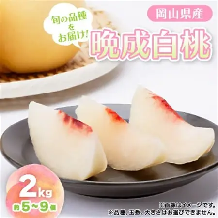 【先行予約・2026年9月上旬頃より発送予定】しっかりした果肉と果汁たっぷり岡山の白桃(2kg箱)【配送不可地域：離島】【1711993】