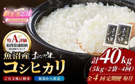 【令和7年産 定期便】新潟県 コシヒカリ「おぢや米」 40kg（10キロ×4回）| コシヒカリ 魚沼 特A