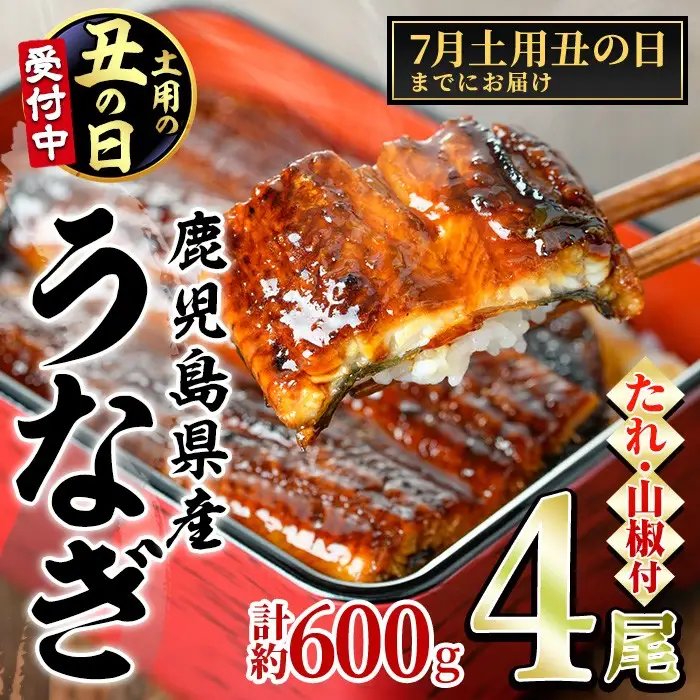 【0204348a-2607】＜土用の丑の日までにお届け＞東串良町のうなぎ蒲焼(無頭)(4尾・計約600g・タレ、山椒付) うなぎ 高級 ウナギ 鰻 国産 蒲焼 蒲焼き たれ 鹿児島 ふるさと 人気 丑の日 【アクアおおすみ】