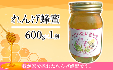 れんげ 蜂蜜 はちみつ 加工食品 