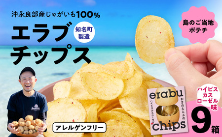 erabu chips （ ハイビスカスローゼル ） 9箱 セット C068-003-09 ポテトチップス 菓子 お菓子 アレルゲンフリー