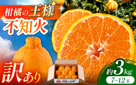 【順次発送中】【訳あり】 柑橘の王様 ハウス栽培 不知火 デコポン 約3kg（7～12玉） 【小春農園】[ZBN008]