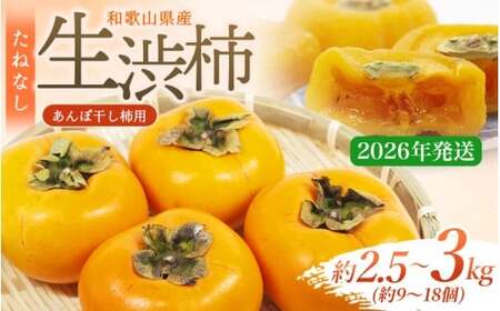 【県認定エコファーマー】甘さが違う！とっても甘くなる生渋柿（平たねなし柿）あんぽ柿用 T軸枝無 約2.5〜3kg 約9〜18個 １０月下旬〜順次発送(日付指定不可)-AP【art041】