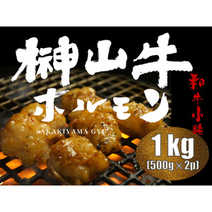 【1週間以内に発送！】 超希少和牛「榊山牛」ホルモン（小腸）焼肉・もつ鍋用 1kg　広島県内最高級和牛 新鮮 ぷりぷりホルモン グルメ 美食