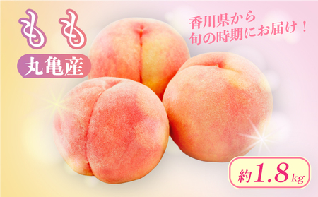 【2026年6月下旬から順次発送】 桃 約1.8kg 5-10玉入 1箱 贈答 香川県 丸亀市