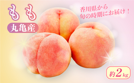 【2026年6月下旬から順次発送】 桃 約2kg 5-9玉入 化粧箱 贈答 香川県 丸亀市