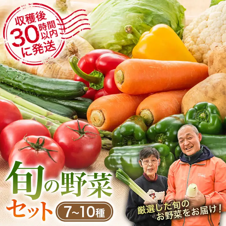 安芸高田市の小さな農家がお届けするふるさと旬野菜セット 野菜類 詰合せ やさい 