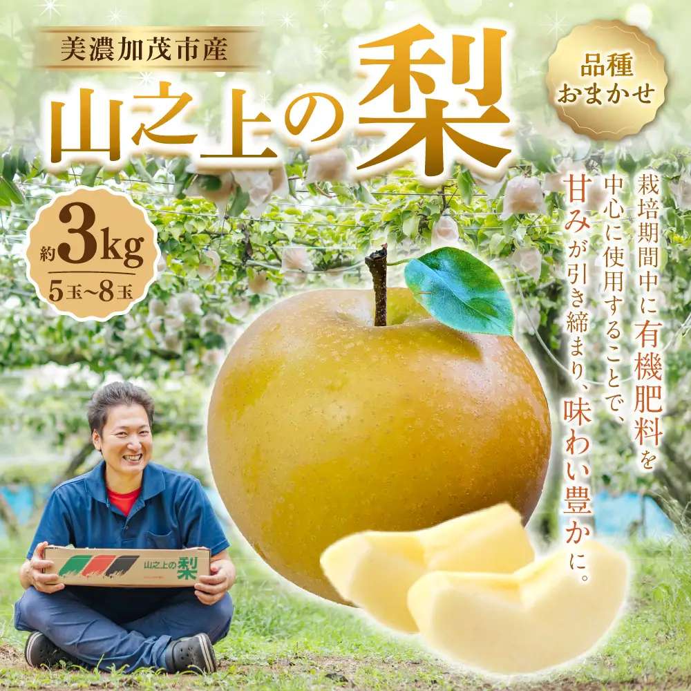 《先行予約》 山之上の梨 （ 品種はおまかせ ） 約3kg（ 5～8玉 ） 【2026年8月下旬～10月上旬発送予定】