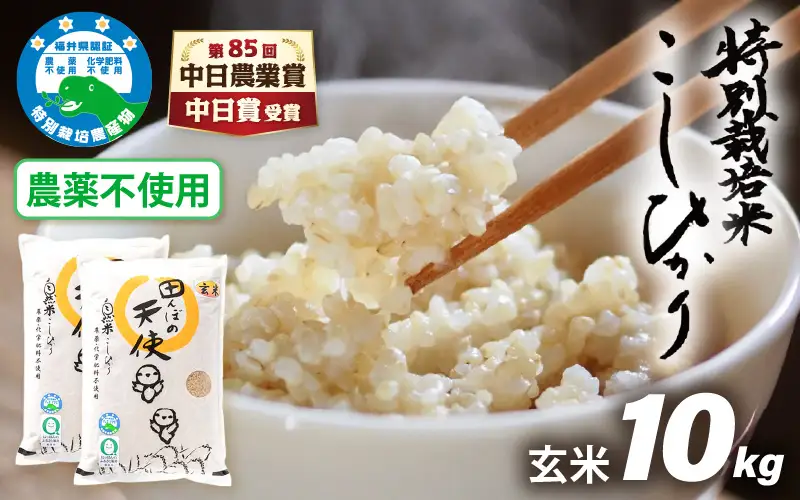 【中日賞受賞】農薬不使用 特別栽培米コシヒカリ10kg（5kg×2）【玄米】福井県認証区分1取得「田んぼの天使」【 農薬化学肥料不使用 】 [e10-d004]