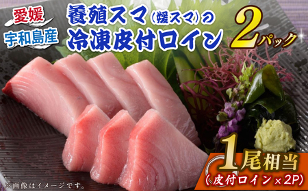 スマ 幻 の 高級魚 養殖スマ（媛スマ）皮付ロイン 2パック こもこもShop ロイン 養殖 刺身 お刺身 お刺し身 刺し身 人気 塩焼き 煮付け アレンジ 新鮮 冷凍 国産 愛媛 宇和島 D034-186011