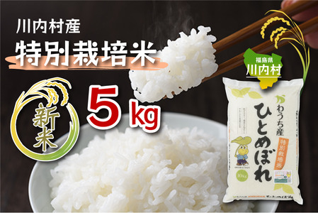 【ふるさと納税】令和7年度 かわうち産 特別栽培米 ひとめぼれ 5kg