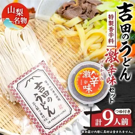 名物吉田のうどん3人前袋つゆ付き×3個、香辛料激辛味×1個　【配送不可地域：離島】【1183938】