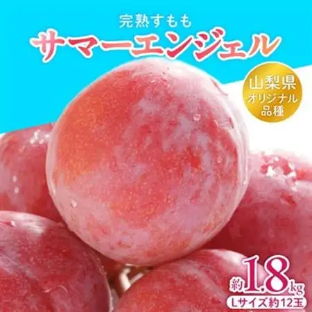 山梨県オリジナル品種の完熟すもも「サマーエンジェル」舌の上でとろけるなめらかな果肉【配送不可地域：離島・沖縄県】【1203987】