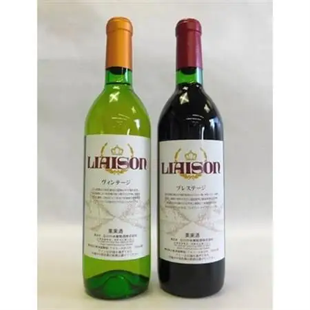 山梨の地ワイン2本セット(日川中央葡萄酒　赤白)【配送不可地域：離島】【1204330】