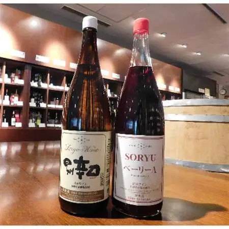 山梨名物一升瓶ワインセット【蒼龍葡萄酒の甲州辛口・ベーリーA(白・赤)】【配送不可地域：離島】【1214738】