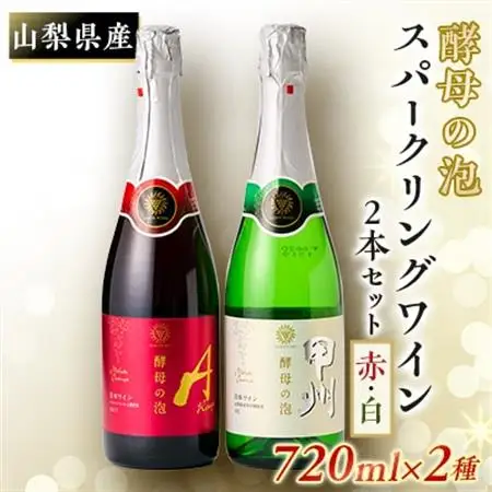 山梨県産ベーリーA種と甲州種から造った辛口スパークリングワイン2本セット【マンズワイン】【配送不可地域：離島】【1217900】