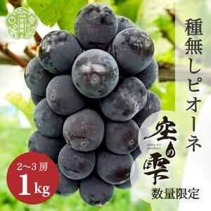 種無しピオーネ 約1kg(2～3房)【ご家庭用･先行予約】数量限定 空の雫 ピオーネ ぶどう 葡萄 ブドウ フルーツ 果物 くだもの 濃厚 甘み コク 大粒 デザート 産地直送 世羅 世羅産 サンワファーム 【2026年9月上旬以降順次発送】 A025-01