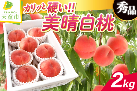 硬い !! もも ( 美晴白桃 ) 2kgフルーツ 果物 山形 08-10-002