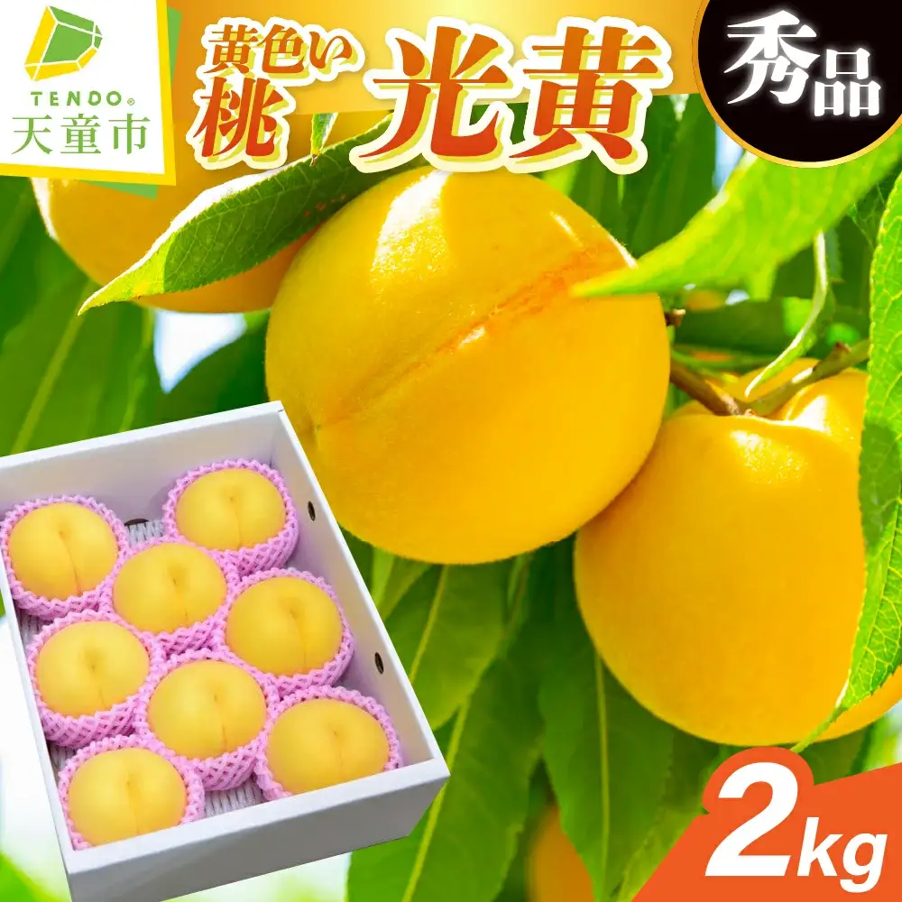 もも 光黄 2kg フルーツ 果物 山形 黄桃 モモ