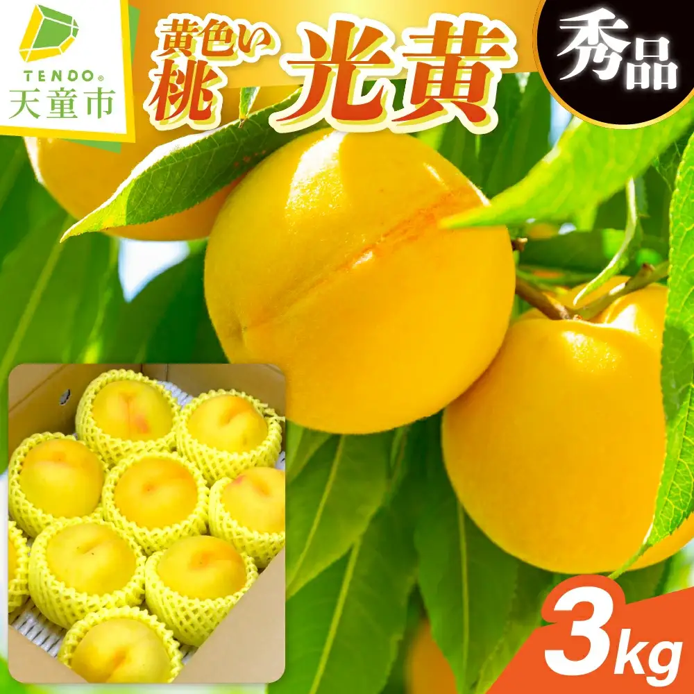 もも 光黄 3kg フルーツ 果物 山形 黄桃 モモ