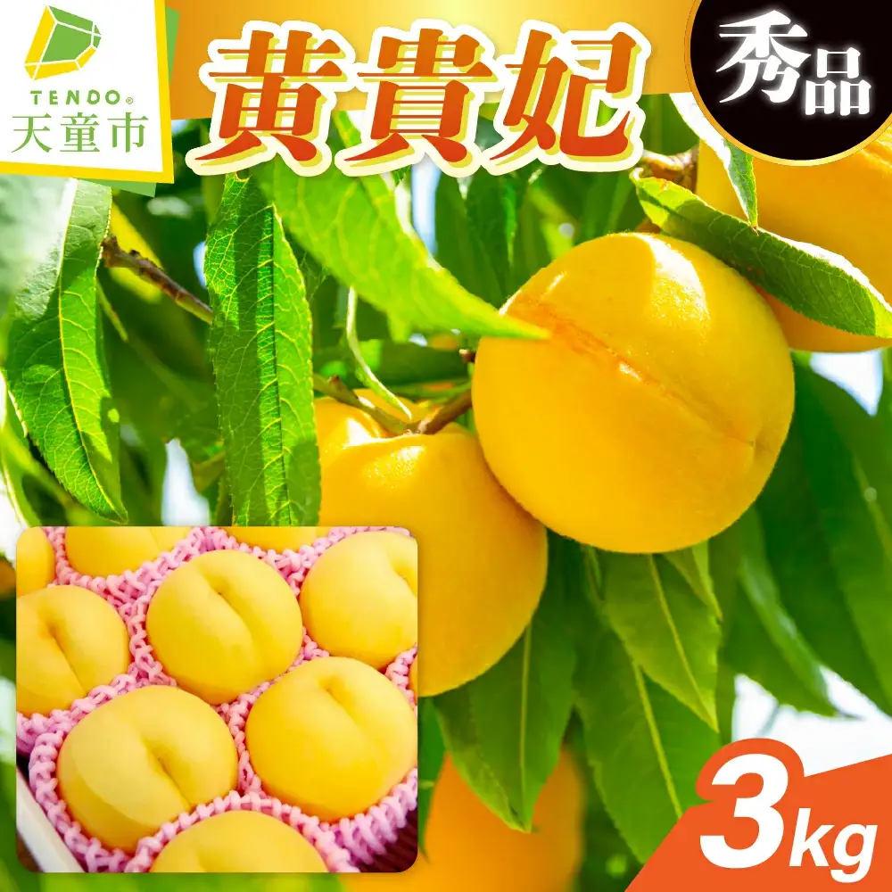 もも ( 黄貴妃 ) 3kg フルーツ 果物 山形 黄桃 モモ