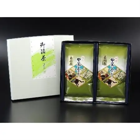 甲斐のみどり南部茶(南部茶)100g袋×2本入り【配送不可地域：離島】【1241993】