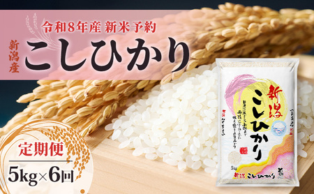 【先行予約】令和8年産新米予約【定期便】新潟産コシヒカリ5kg×6回　米 精米 こしひかり お取り寄せ 新潟県 新潟市