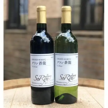 山梨県よりお届け「蒼龍葡萄酒」の定番ワイン赤白2本セット(720ml×2本)【配送不可地域：離島】【1312547】