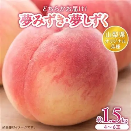 日本一の桃の里 山梨よりもぎたてを直送!山梨県オリジナル品種「夢みずき・夢しずく」1.5キロをお届け【配送不可地域：離島】【1381399】