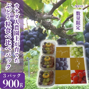 世羅産ぶどう粒食べ比べパック 約900g(3パック)【先行予約・数量限定】カナダ人農園主 ぶどう ブドウ マスカット フルーツ 果物 くだもの 産地直送 世羅 ラピアビンヤード【2026年9月下旬以降順次発送】 A021-09