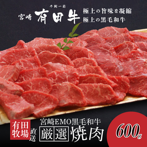 木城白木八重牧場育ちの黒毛和牛厳選焼肉 600g _K20_0012_4