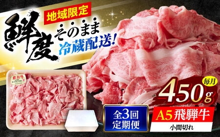 【3回定期便】 ※冷蔵配送/地域限定※ 飛騨牛 小間切 450g 瑞浪市 / きなぁた瑞浪 和牛 国産 岐阜県産[AZCI068]