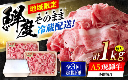 【3回定期便】 ※冷蔵配送/地域限定※ 飛騨牛 小間切 (大) 500g×2セット 瑞浪市 / きなぁた瑞浪 和牛 国産 岐阜県産[AZCI071]