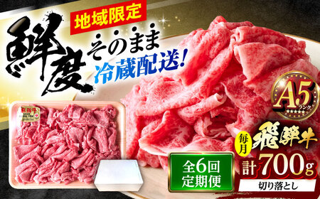 【6回定期便】 ※冷蔵配送/地域限定※ 飛騨牛 切落し (モモまたはカタ) 700g 瑞浪市 / きなぁた瑞浪 和牛 国産 岐阜県産[AZCI075]