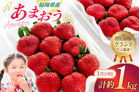 いちご あまおう 270g 4p 計約1kg【1月前半-2月前半発送】[hurrah. 福岡県 宇美町 um40bjm200001]