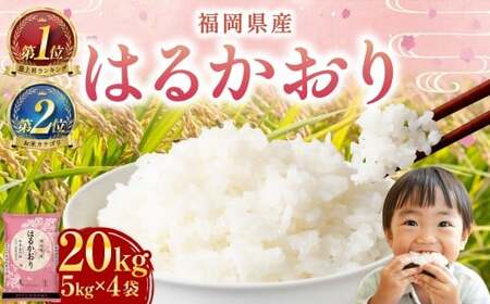 【令和7年産】はるかおり 精米 20kg  香春町 ／ ふるさと納税限定 ふるさと納税限定品 お米 米 白米 食品 ご飯 飯 九州 福岡県 香春町 令和7年産 令和7年