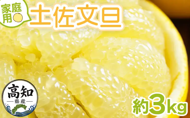 土佐文旦 家庭用 3kg 大小混合(サイズ：L～3L) 文旦 yk-0083