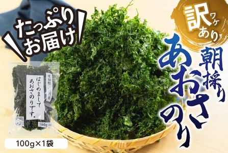 訳あり あおさのり 100g 簡易包装 あおさ海苔