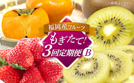 【全3回定期便】九州・福岡もぎたて フルーツ定期便 B　桂川町/一般社団法人地域商社ふるさぽ[ADCF018]