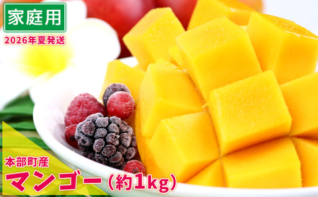 マンゴー【2026年夏発送】もとぶ町産マンゴー（家庭用）約1kg詰め フルーツ 