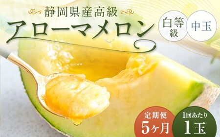 【5ヶ月定期便】 静岡県産高級 アローマメロン 白等級 約1.3kg以上×中玉1玉 （合計5玉） ／ 5回定期便 メロン 青肉メロン 中玉 果物 果実 フルーツ 定期便 静岡県 菊川市 常温