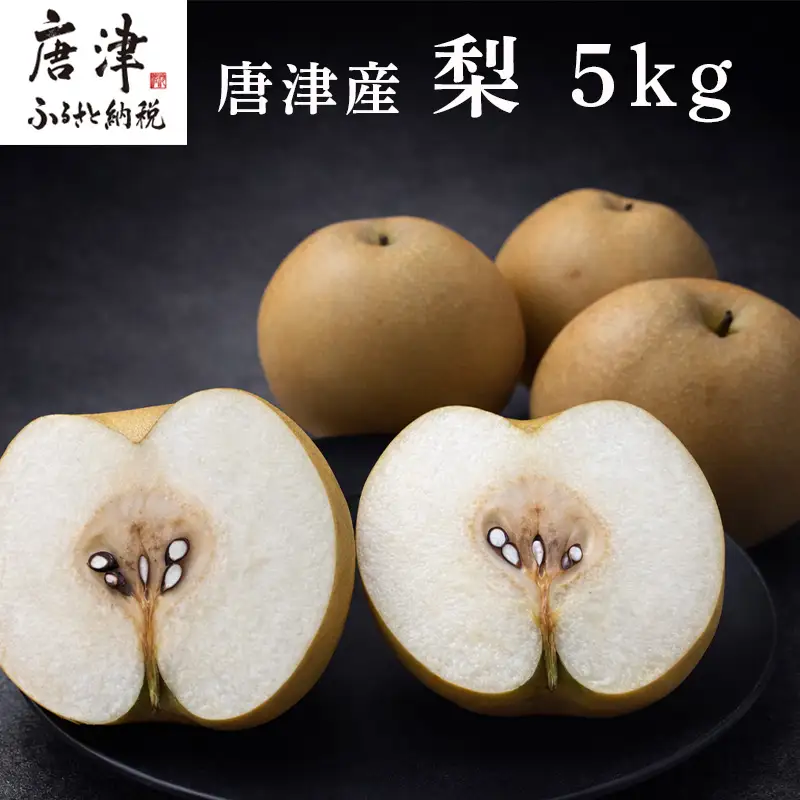 『先行予約』【令和8年7月上旬より順次発送】唐津産 梨 5kg【旬の味覚】幸水 豊水