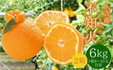 【先行予約】 人吉産 不知火（しらぬい）6kg（3kg×2箱）フルーツ 果物 くだもの 柑橘 デコポン でこぽん お取り寄せ【2027年1月上旬～2月上旬発送予定】