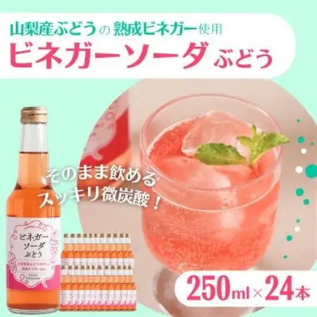 山梨産ぶどう100%の熟成ビネガーで造った!そのまま飲める【ビネガーソーダぶどう24本セット】【配送不可地域：離島】【1537865】